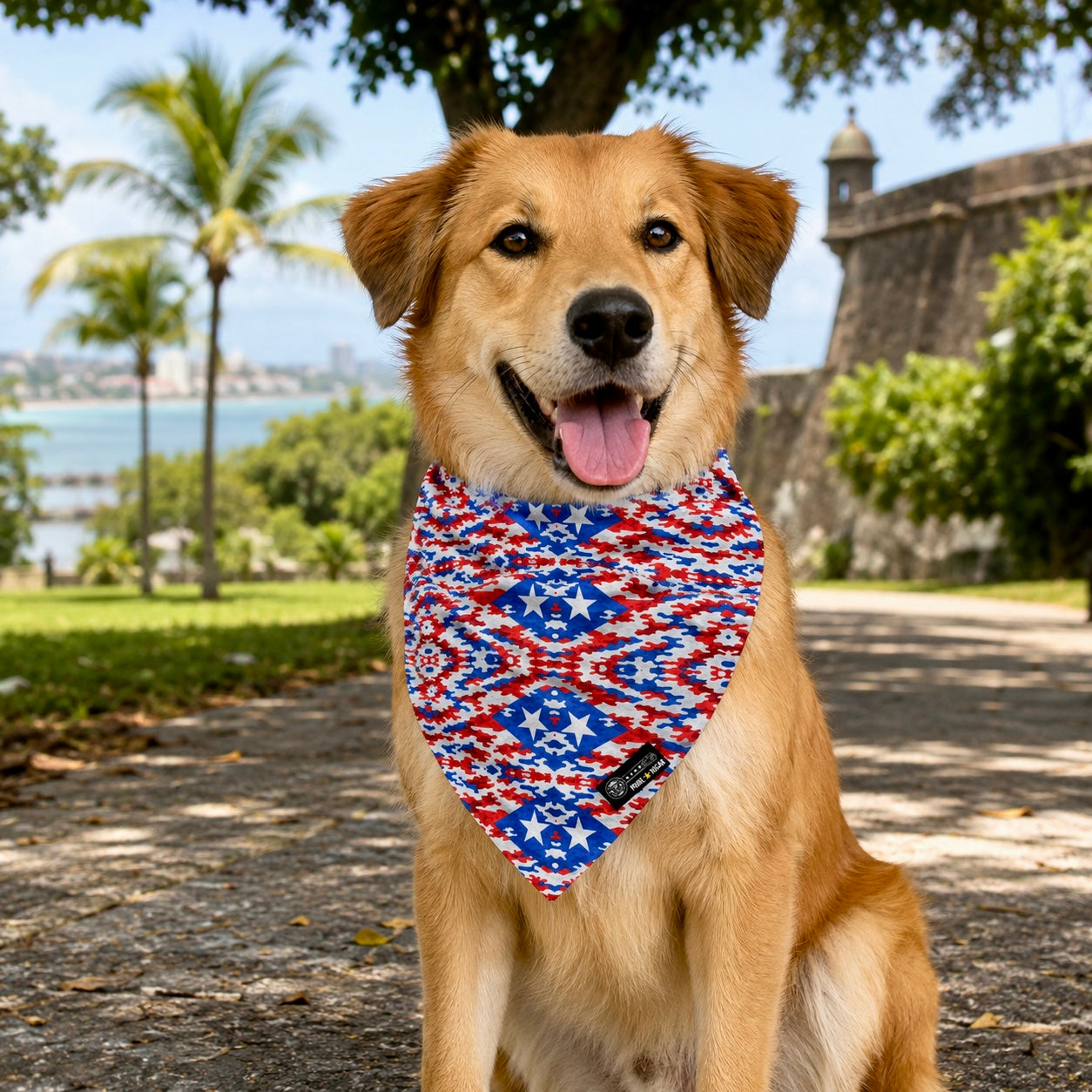 Dog wearing the Pure⭐️Rican patriotic camo pet bandana outdoors with Puerto Rican inspired lifestyle setting.